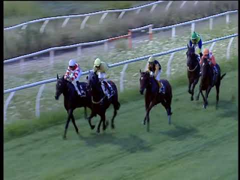 Galoppo 07/08/2019 - 4ª corsa