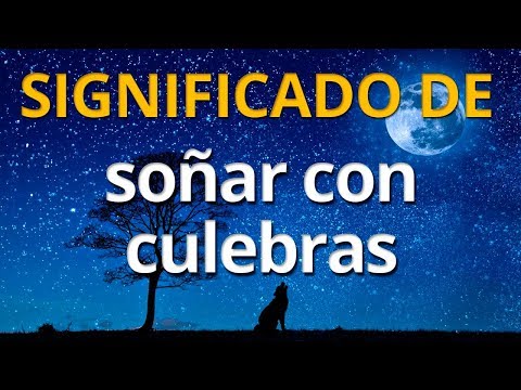Qué significa soñar con culebras 💤 Interpretación de los Sueños