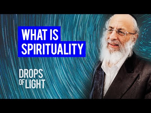 Understanding Jewish Spirituality (100 Sec) Rabbi Michel Twerski