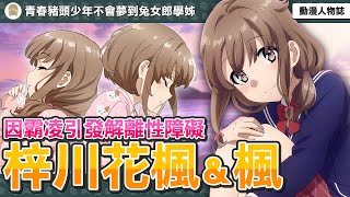 【梓川花楓&楓】本作最悲劇的妹妹角色？因霸凌引發解離性障礙？兩個人格背後有怎樣悲催的故事？ | 青春豬頭少年不會夢到兔女郎學姊 | 動畫解說 | 角色解析 |【動漫人物誌】[10]