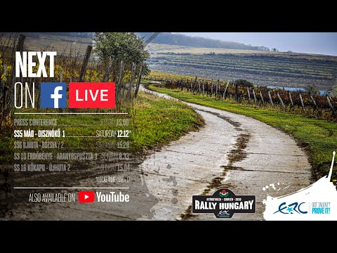 RALLY HUNGARY 2020 - SS5 MAD DISZNOKO 1