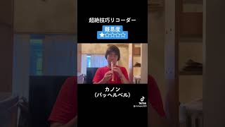 Download lagu 超絶技巧リコーダー難易度1 パッヘルベルのカノン mp3
