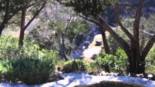 The Big Blue Rock Search Party