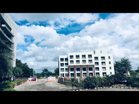 tiktok of dogs 🐕🥰🥰🥰