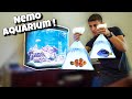 NEMO Themed Aquarium With NEW Fish