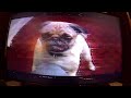 Best In Show VHS DVD Trailer