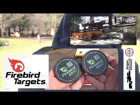Firebird Targets BIO65 (ExplodingTargets) Full Review with ZAN Slugs \u0026 Vulcan 3 Accuracy