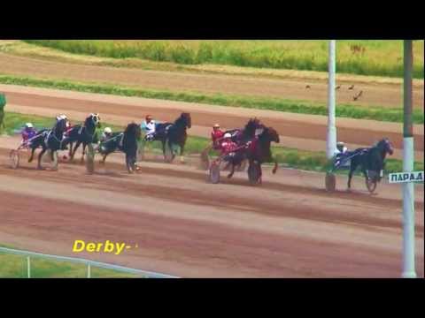 Elitloppet 2016 COMMANDER CROWE & Christophe Martens - Solvalla Sweden 27 05 2013.