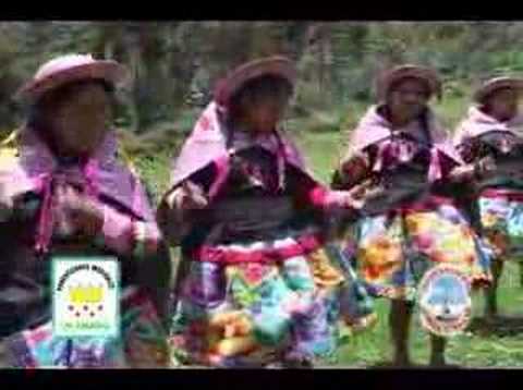 Chicas Rosas Y Claveles - Quien Se Acordara De Mi