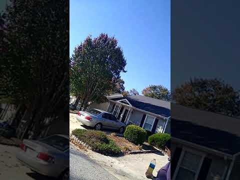 walking on  wheeler road(1)