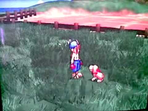 Harvest Moon 3 Save The Homeland_Care Animals