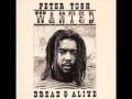 Peter Tosh & Gwen Guthrie - Nothing But Love