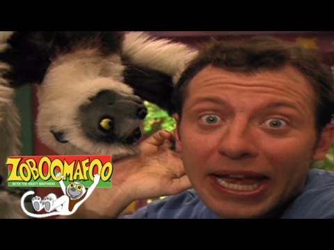 Zoboomafoo 113 - Puppies | HD | Full Episode