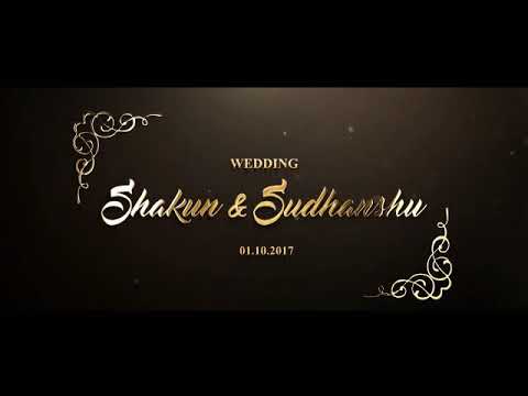 Wedding Planner portfolio by The Wedding Squad in Zirakpur - Photo 2