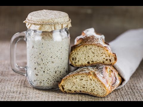 Booze, Booch, Bread, and Brine: The Science of Fermentation (Science on Tap Livestream show)
