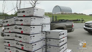 Local Seafood Supplier Hands Out 4,000 Pounds Of Fish