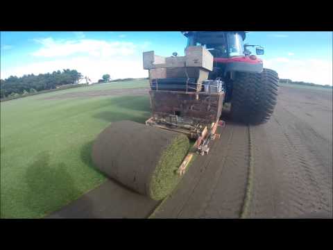 Hallmarket Big Roll Harvester