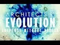 ARCHITECTS OF EVOLUTION - Universe Without ...