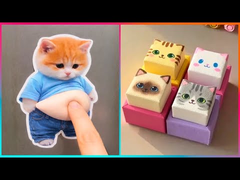 Cute CAT Art & Other Cute Animal Ideas ▶ 3