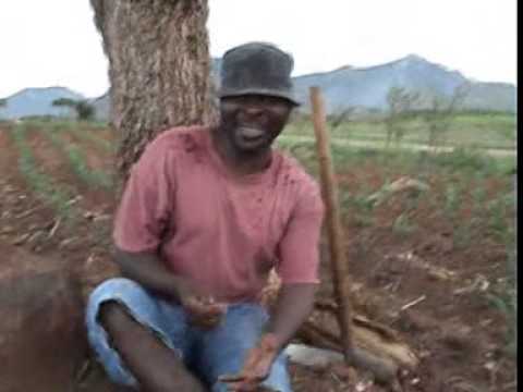 download lagu mp3 mp4 Joseph Nkasa, download lagu Joseph Nkasa gratis, unduh video klip Joseph Nkasa