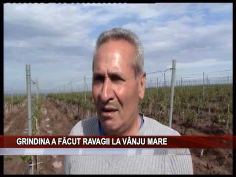 Grindina a facut ravagii la Vanju Mare