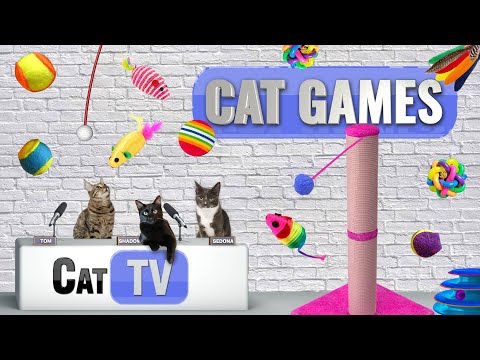CAT Games TV | Ultimate Cat Toy Compilation | Videos For Cats to Watch | 🐈