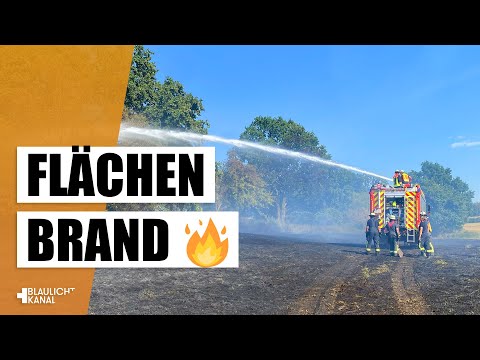 Im Einsatz mit der Feuerwehr Mücke! - Vegetationsbrand bekämpfen