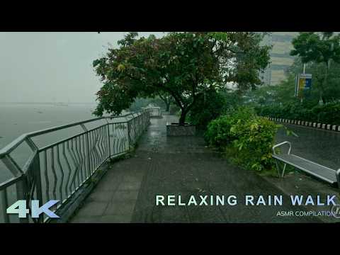 Powerful Rain & Thunder Ambience 🌧️ | Immersive ASMR Sounds for Deep Sleep & Calm Mind (Compilation)