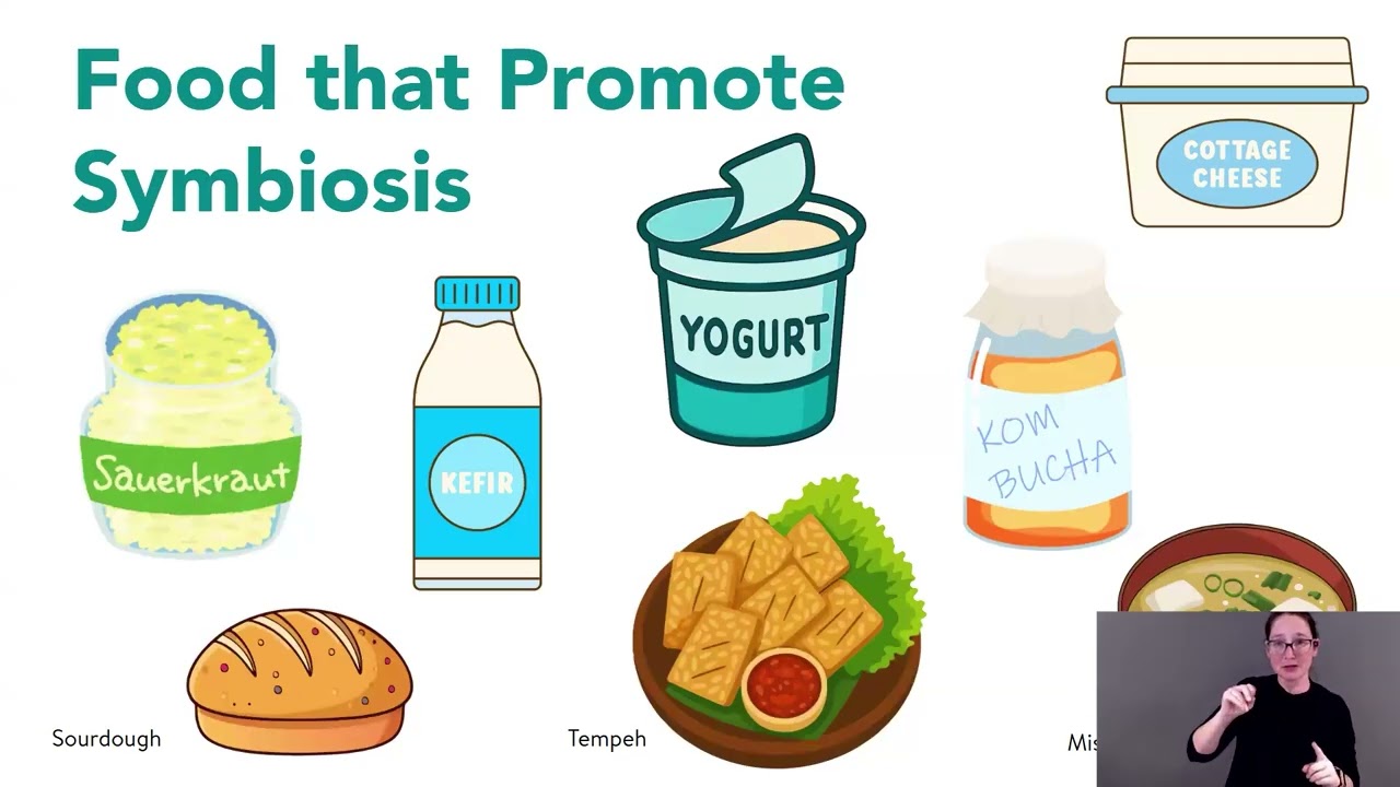 Gut Health