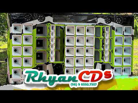 SEXTA FEIRA COMEÇOU COM TUDO - PEDRINHO PEGAÇÃO (TIK TOK) Rhyan CDs