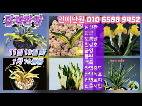 유튜브 썸네일
