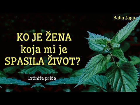 ŽENA IZ SNOVA SPASILA MI JE ŽIVOT - KOPRIVA - Istinita prica o onostranom Baba Jaga priča