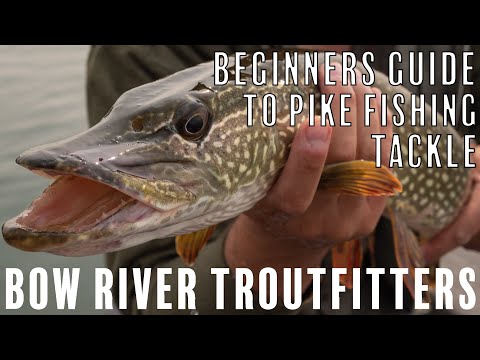 Beginners guide to Pike fishing gear on the fly!
