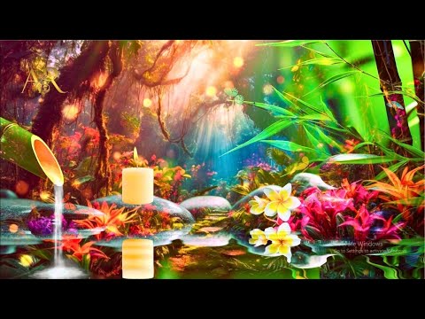 Nature sounds 13/08/24