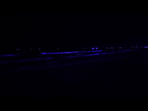 10 Hours of Dark Screen Ocean Sounds for Deep Sleep/ Santa Monica Beach