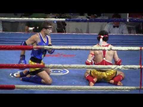 ФИНАЛ ЧЕМПИОНАТА ЕВРОПЫ 2012 ( Константин Тришин )