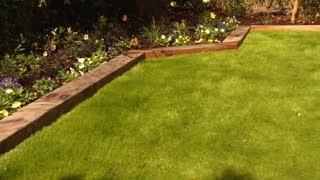 How to Care For and Maintain Lawns | Mitre 10 Easy As DIY