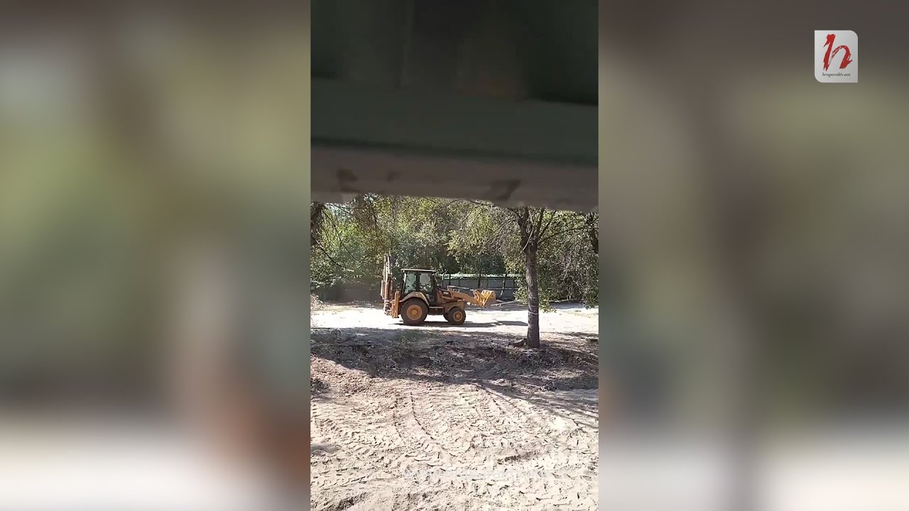 Ֆիզգորոդոկի ծառերը գետնին են հավասարեցնում