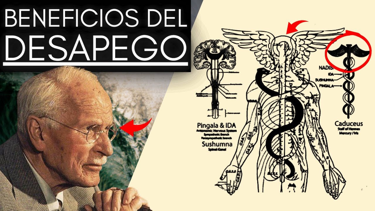 Carl Jung: La Psicología Oculta del Desapego | ACÉPTATE y Acepta la Impermanencia