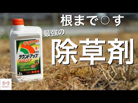 ラウンドアップに代わる除草剤はどれ？環境に優しく効果的な 10 のオプション  庭園