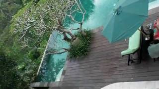preview picture of video 'Natura Villa Resort and Spa Ubud Bali'