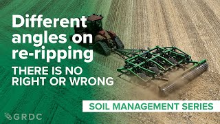 Different angles on re-ripping: There is no right or wrong