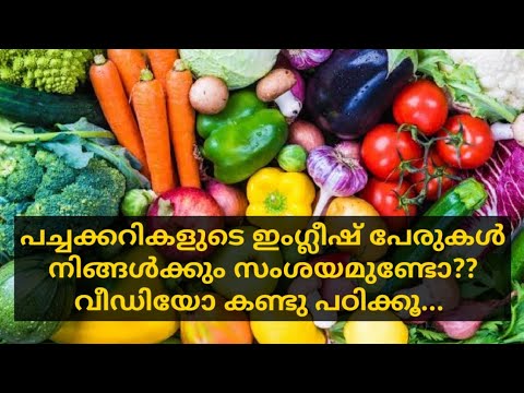 download lagu mp3 mp4 Kerala Vegetables Names, download lagu Kerala Vegetables Names gratis, unduh video klip Kerala Vegetables Names