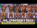 TEUKU IAN, SAN SAN, ELVIS, DANANG SEGARA - #MrIndonesia 2018 - #Bodybuilding80KG Preliminary
