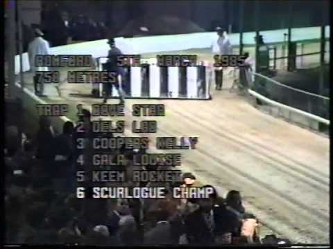 MARATHON ROMFORD (2 y 5-3-85)...SCURLOGUE CHAMP