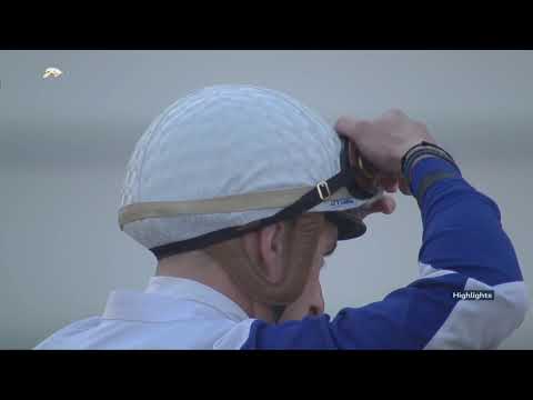 28th Race Meeting of Season 2018 / 2019