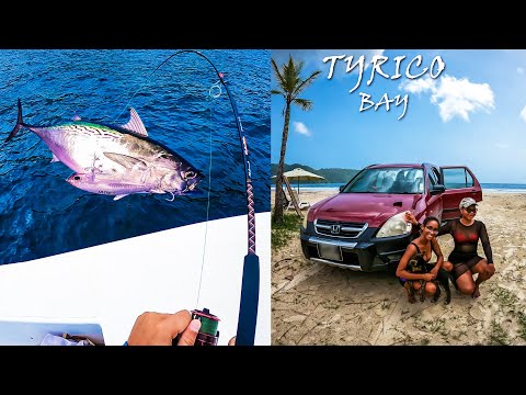 BONITO | CATCH | CLEAN AND COOK ON TYRICO BAY!!!!!