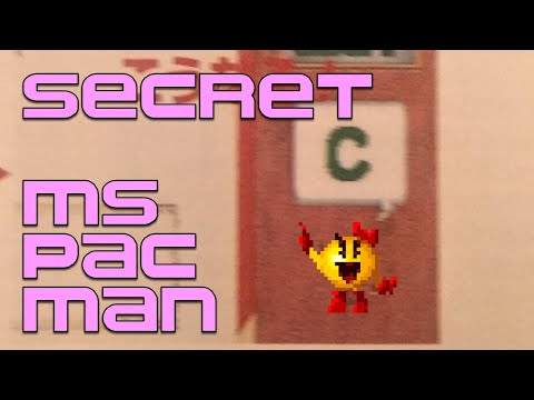 Namco's Best-Guarded Easter Egg