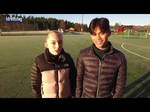 Buskerud videregående skole