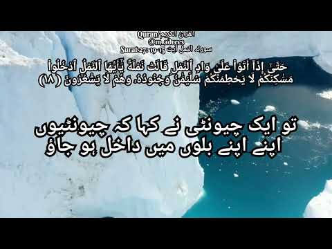 Quran Surah 27 | surah al naml ayat 15-19 | #quran